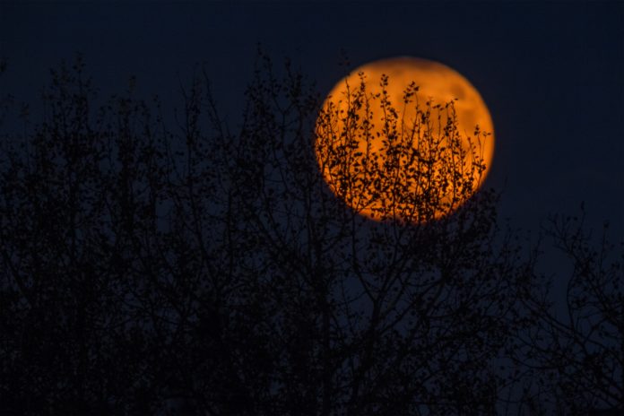 halloween-bloodmoon-zagreb