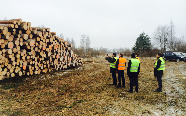 Tallin-based Timbeter, precision-forestry startup, closes €920K to expand in SE Asia and Latin America