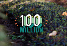 Ecosia-100m-milestone