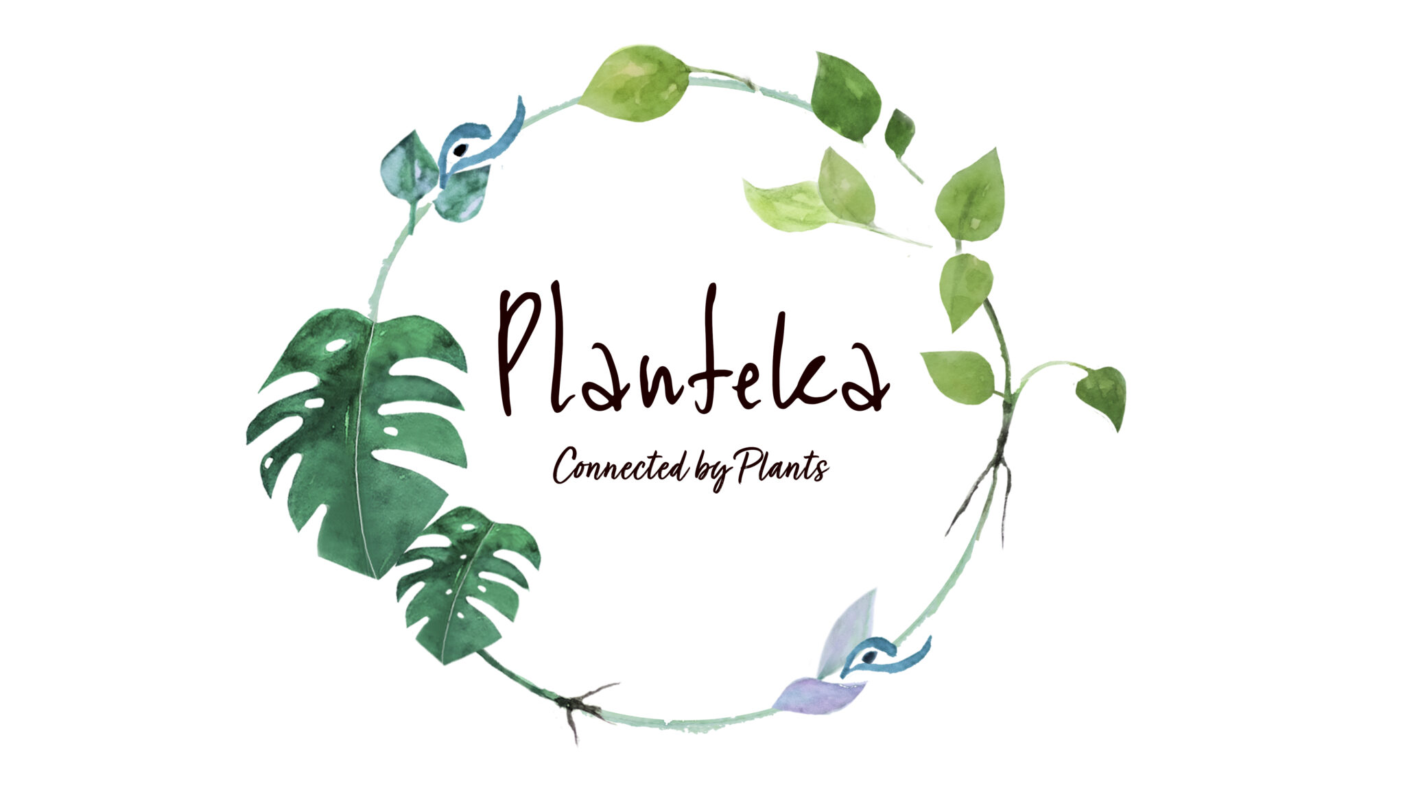 Planteka | EU-Startups