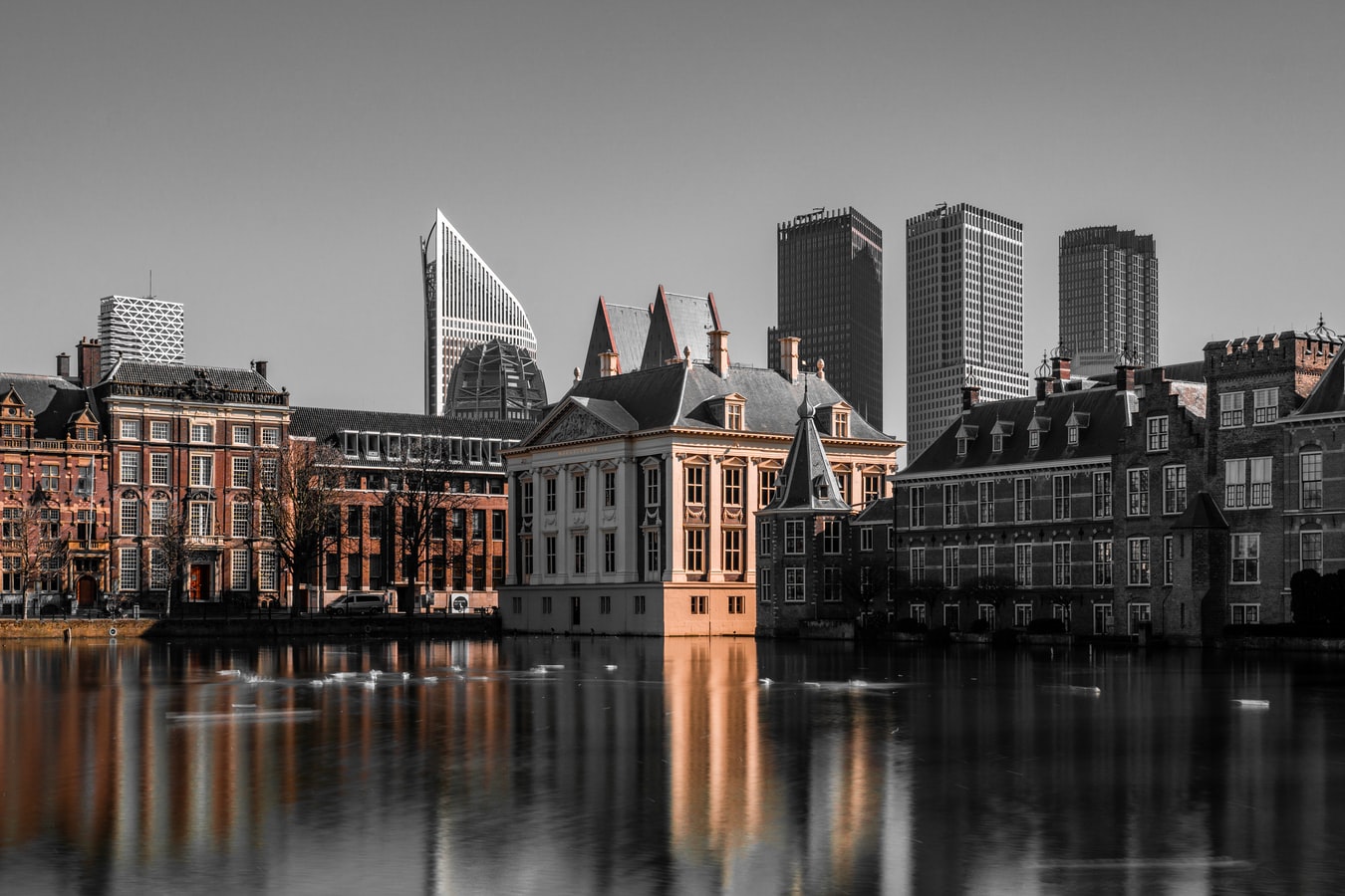 10 The Hague startups to watch in 2021 and beyond