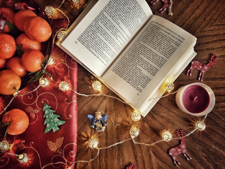 10 books every internet entrepreneur would love to find under the Christmas tree