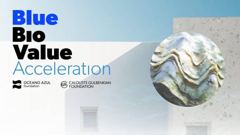Introducing the Blue Bio Value Acceleration Programme 2023: Accelerating Innovation in Blue Biotechnology