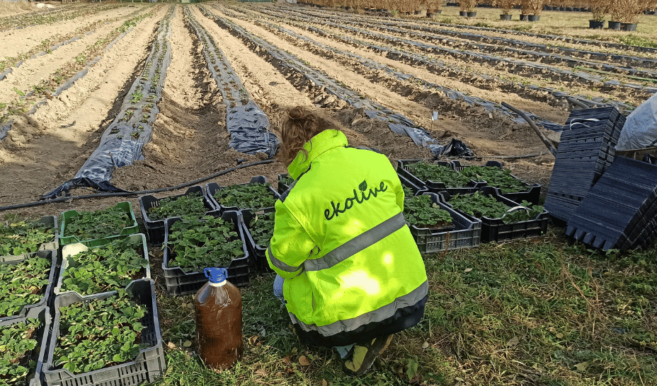 10 startups achieving market success, and shaping our future food system (Sponsored)