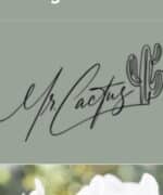Mrcactus